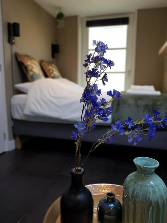 Studio Klein سكورل المظهر الخارجي الصورة